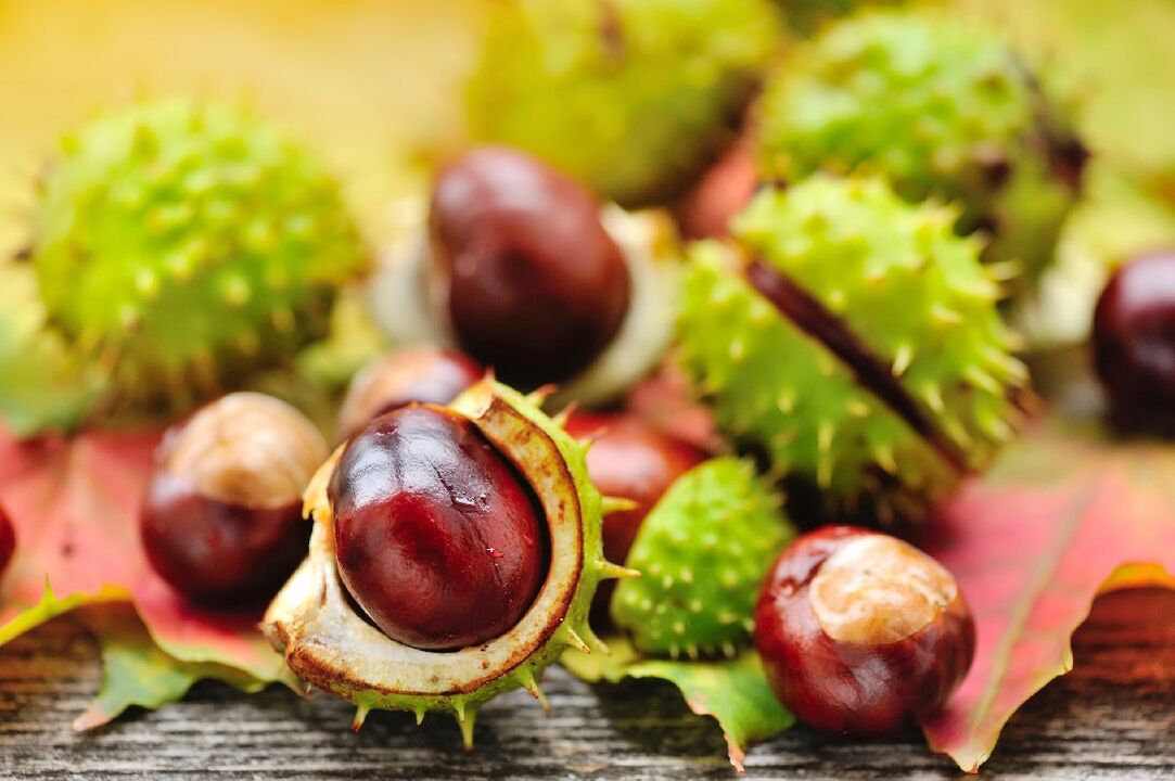 ippocastano per la prostatite cronica